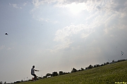 Parco San Giuliano  - 473